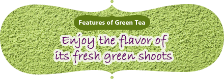 Features of Green Tea｜Enjoy the flavor of its fresh green shoots
