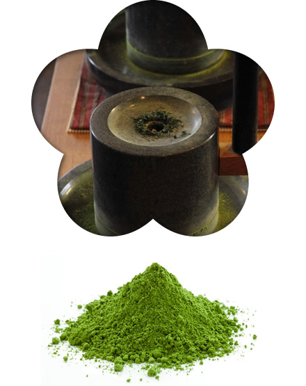 Features of Green Tea