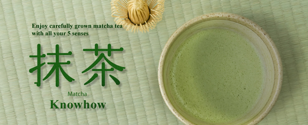 Enjoy carefully grown matcha tea with all your 5 senses. Matcha Knowhow.