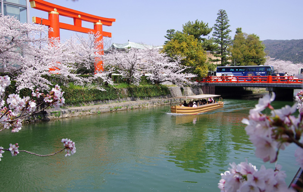 Okazaki Cherry Blossoms/Spring Greenery Jukkokubune Boat Tour