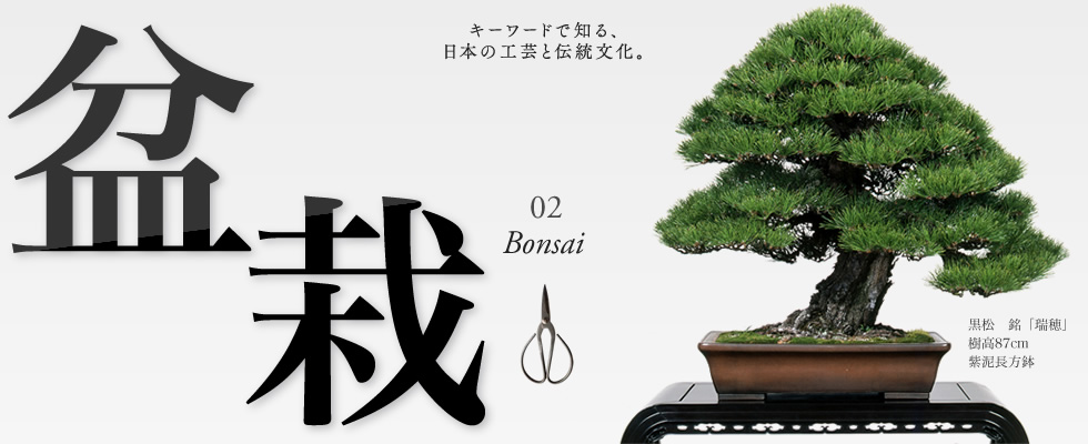 キーワードで知る、日本の工芸と伝統文化。02「盆栽」