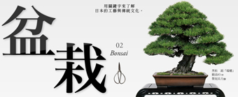 用關鍵字了解日本工藝與傳統文化 vol.02 盆栽