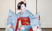 Maiko-Hana no Seki