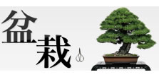 Kyeword02　Bonsai