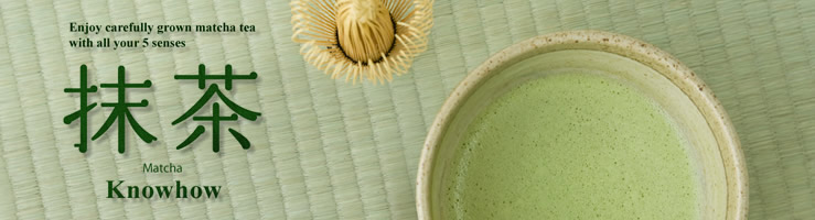 Enjoy carefully grown matcha tea with all your 5 senses. Matcha Knowhow