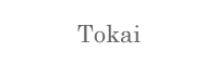 Tokai