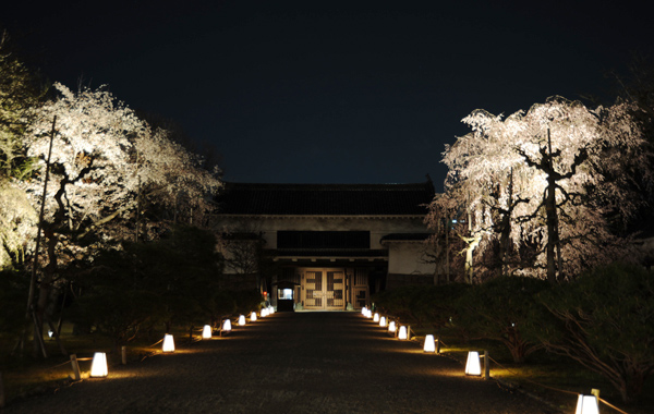 Nijo Castle 2012 Nighttime Illumination