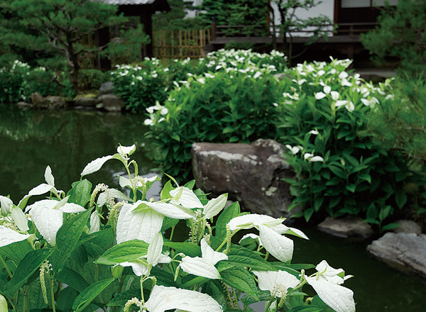 Hangesho Special Public Garden