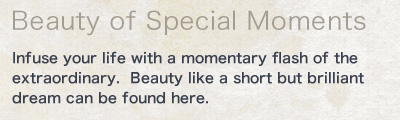 Beauty of Special Moments - Infuse your life with a momentary flash of the extraordinary.  Beauty like a short but brilliant dream can be found here.