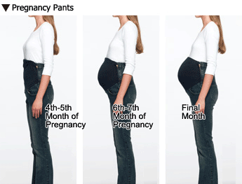 Pregnancy Pants