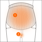 The Secrets of Angeliebe's Pregnancy Pants