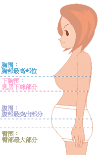 サイズ選びの目安