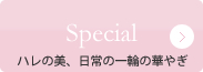 Special　ハレの美、日常に一輪の華やぎ