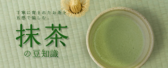 抹茶の豆知識