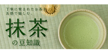 抹茶の豆知識