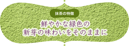 抹茶の特徴｜鮮やかな緑色の新芽の味わいをそのままに