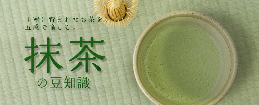 丁寧に育まれたお茶を、五感で愉しむ。抹茶の豆知識