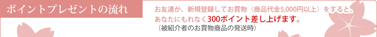 ポイントプレゼントの流れ